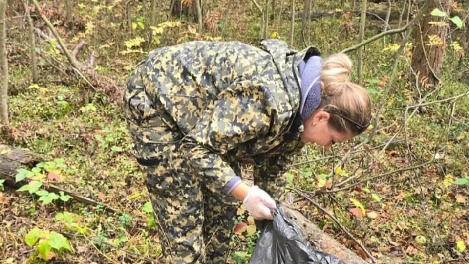 Фото: Комитет лесного хозяйства Московской области