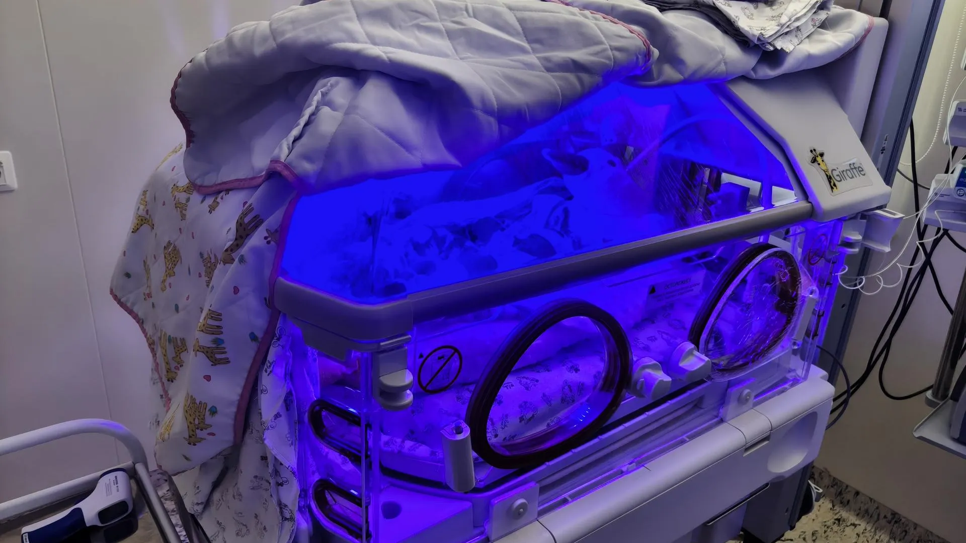 Фото: Сергей Орлов