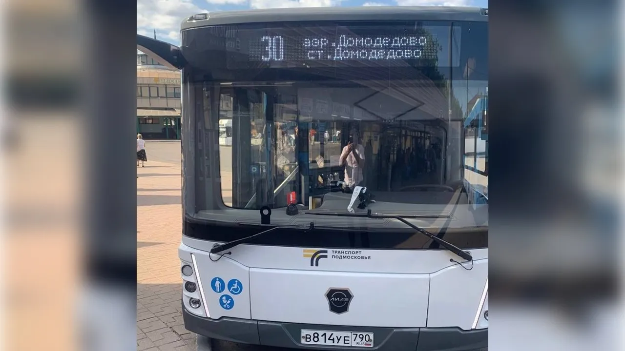 Фото: пресс-служба администрации городского округа Домодедово