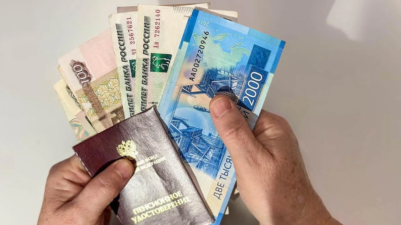 Фото: REGIONS/Кира Морозова