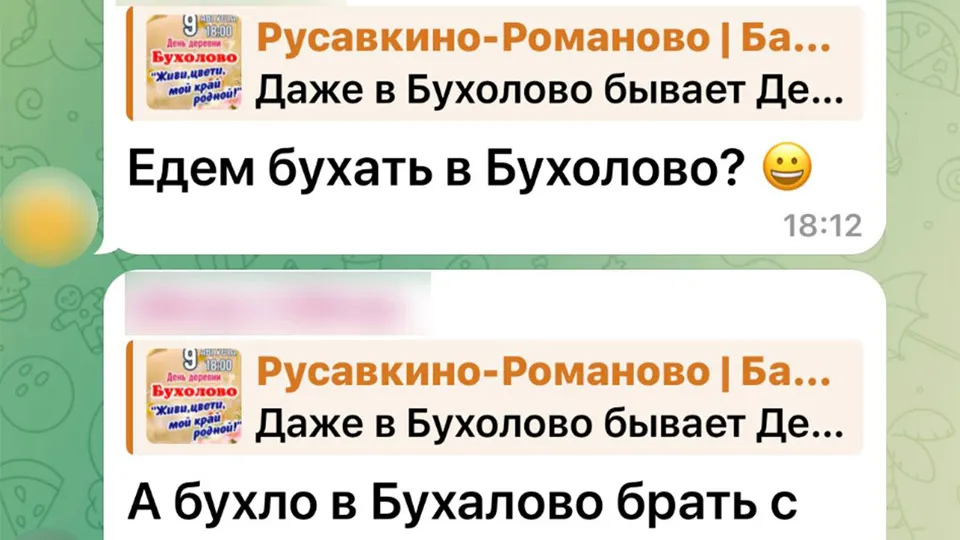 Обсуждения афиши Дня деревни в соцсетях. Скрин: REGIONS