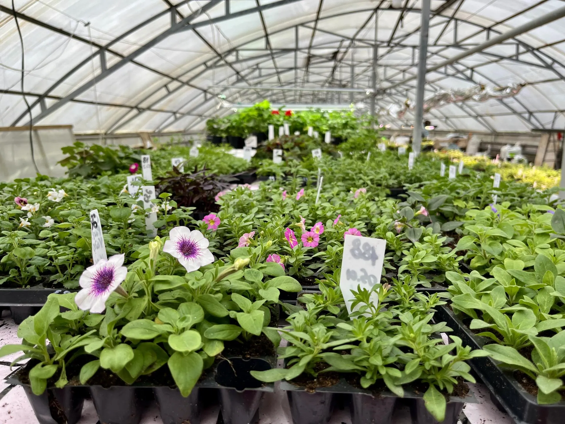 Фото: Анна Тюрюмина