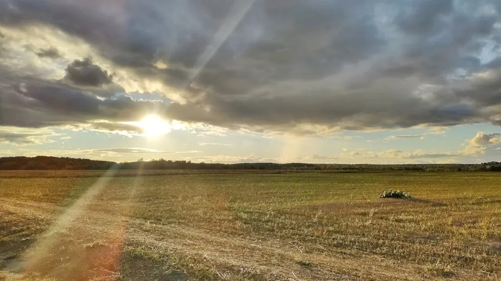 Фото: REGIONS/Алексей Селиверстов