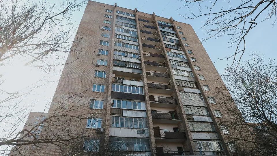 Фото: пресс-служба администрации г.о. Химки