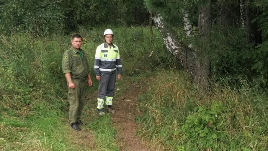 Комитет лесного хозяйства Московской области