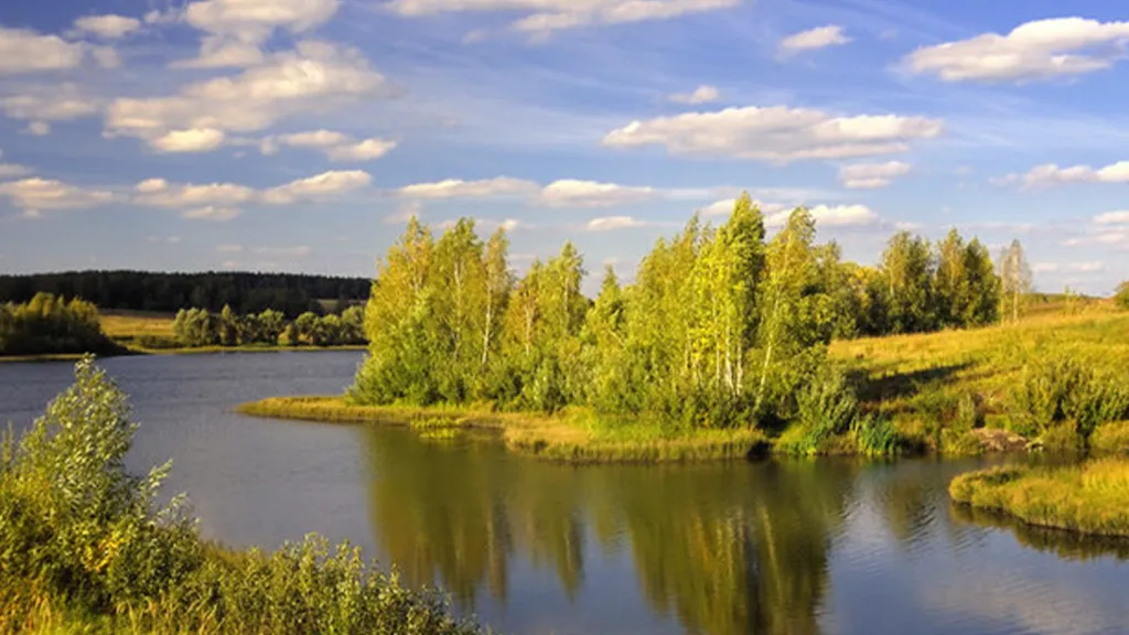 Фото: Алексей Андросов