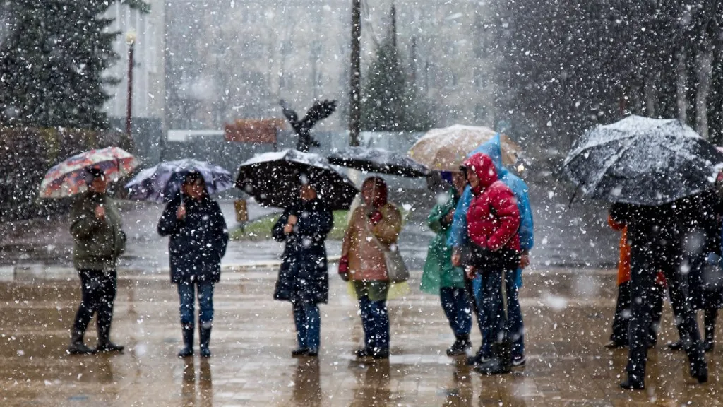 Фото: Антон Селянин