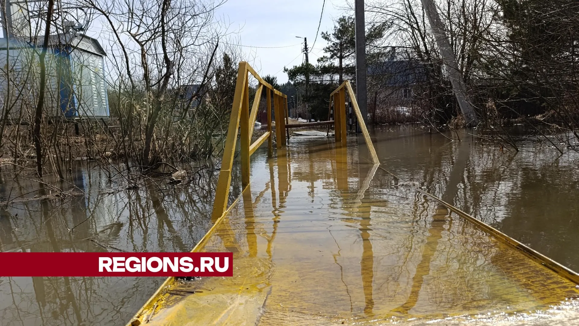 Фото:  REGIONS/Ольга Антонова
