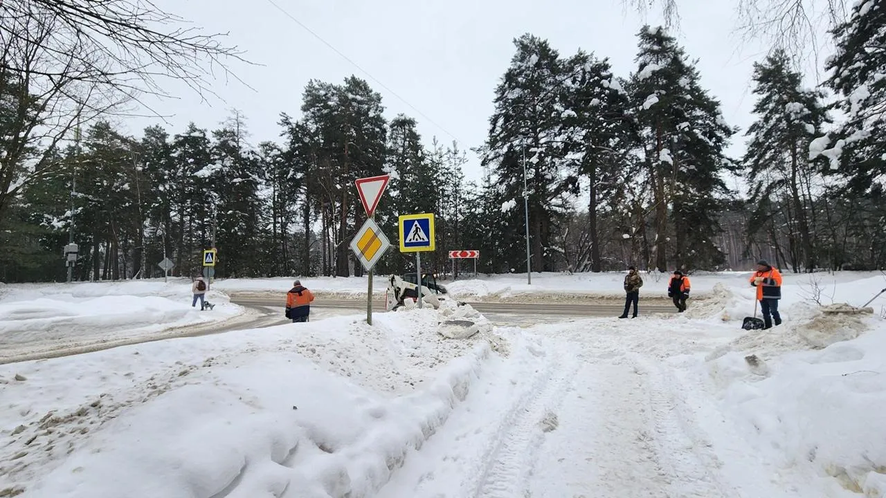 REGIONS/Анна Мороз