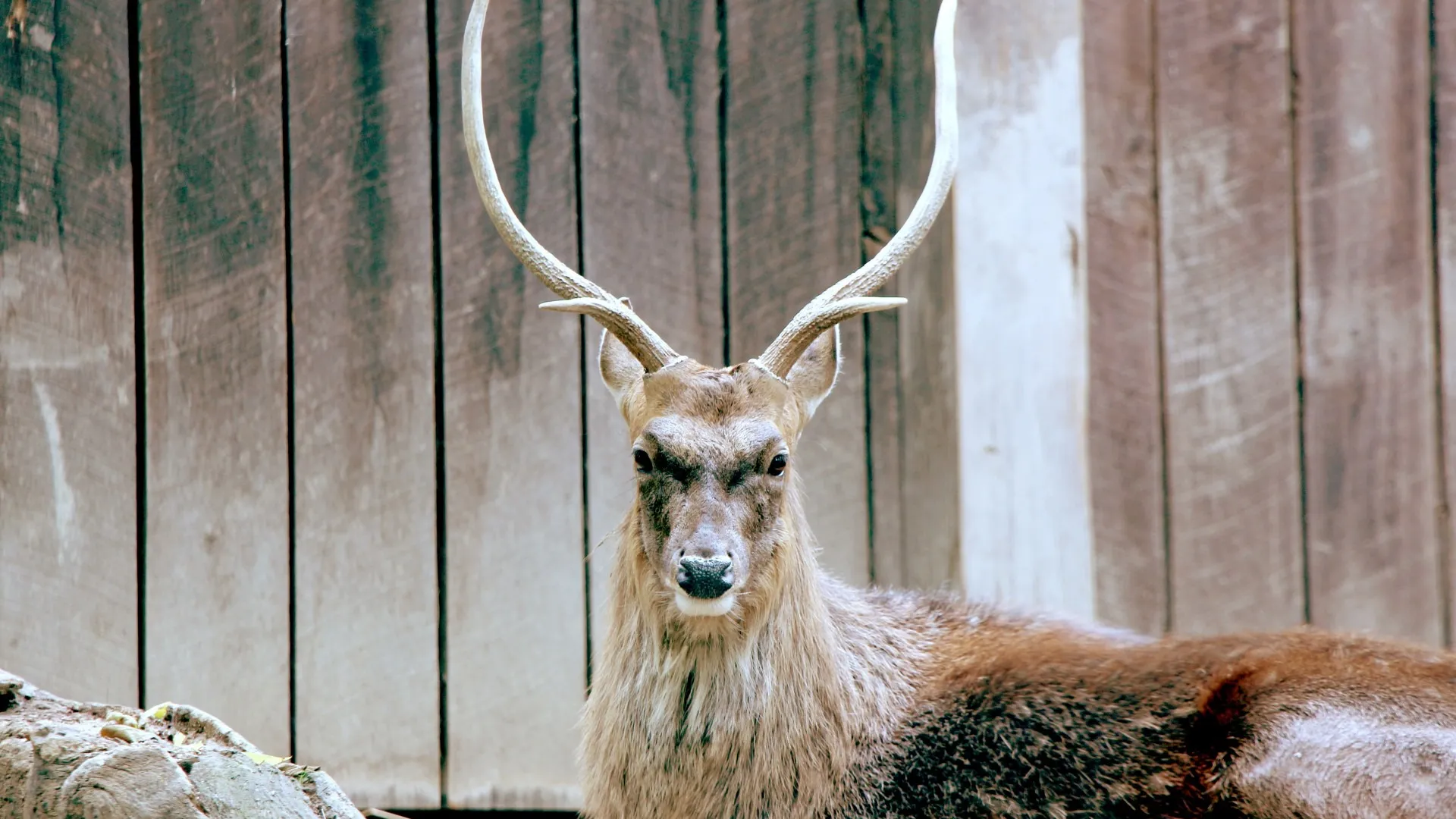 Фото: pxhere.com