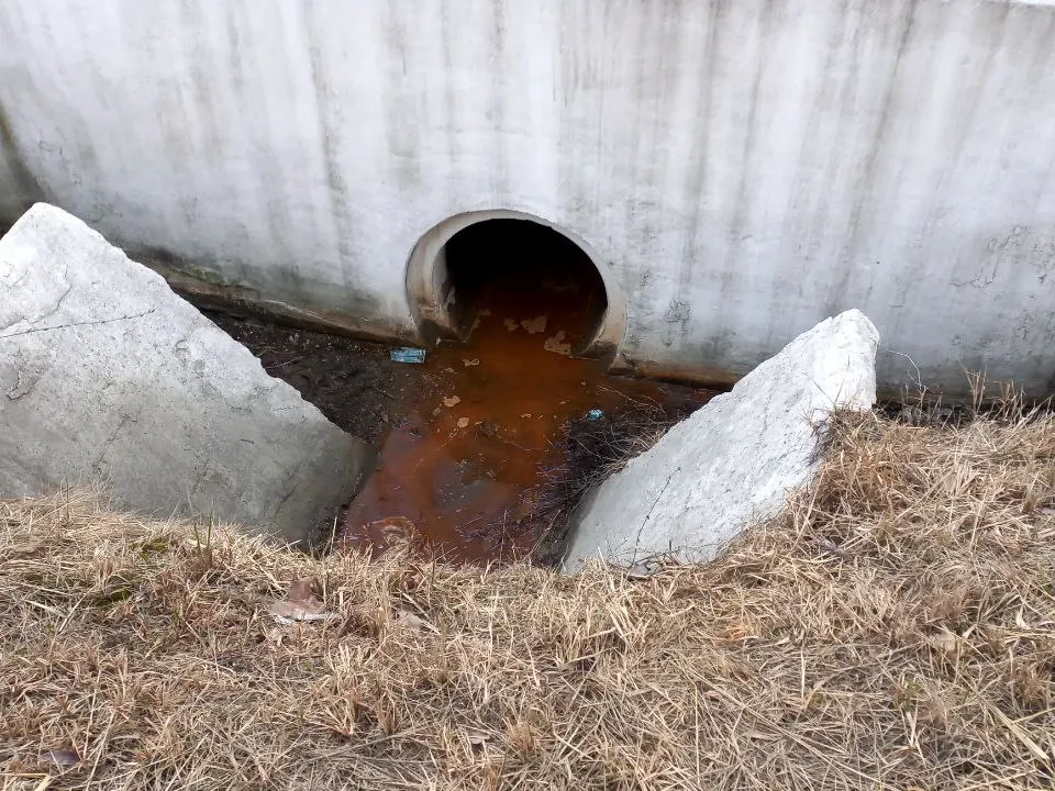 Фото: REGIONS/Олег Книжник