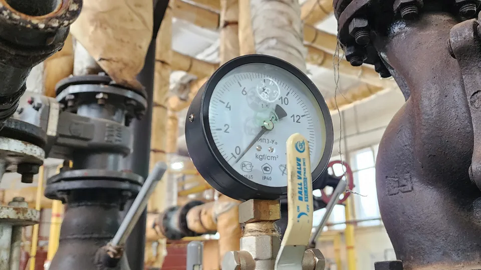 Фото: МедиаБанк Подмосковья/Егиян Ольга