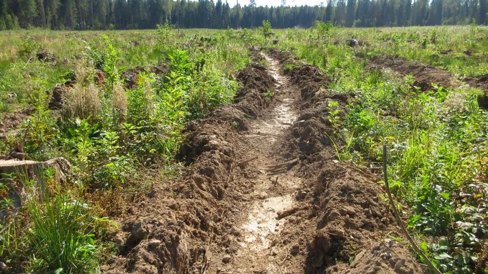 Фото: t.me/mosoblcomles