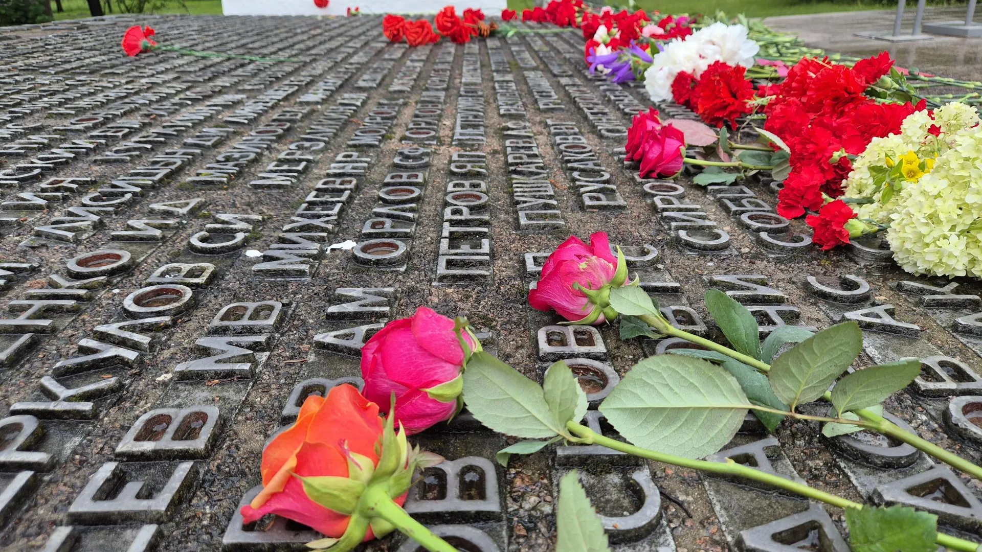 Фото: Анастасия Игнатова