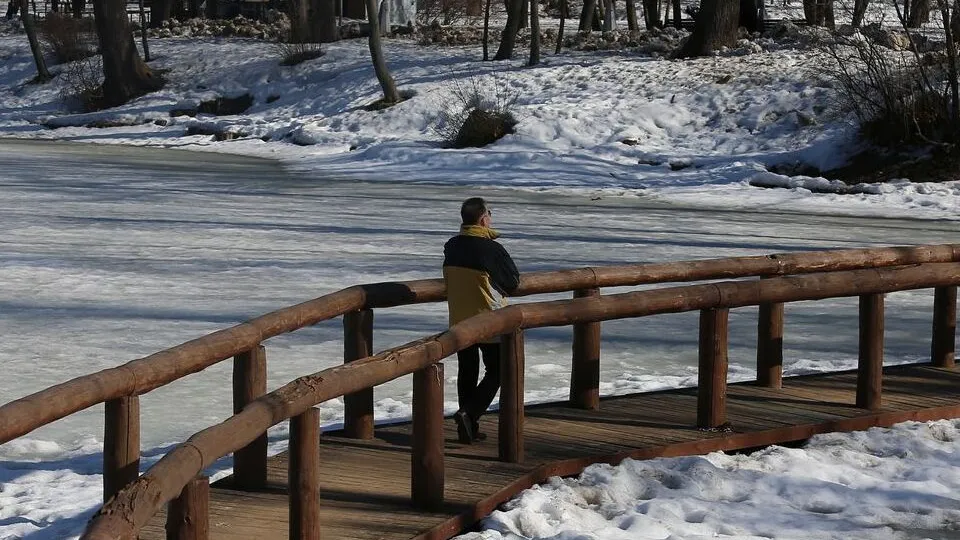 Фото: медиасток.рф