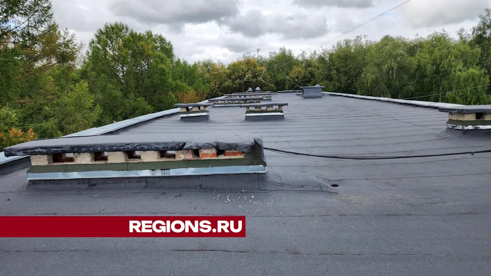 Фото: Дмитрий Алексеенко