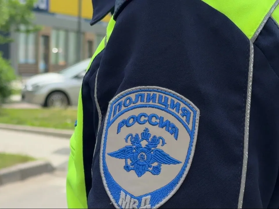 Фото: МедиаБанк Подмосковья/Ксения Казакова