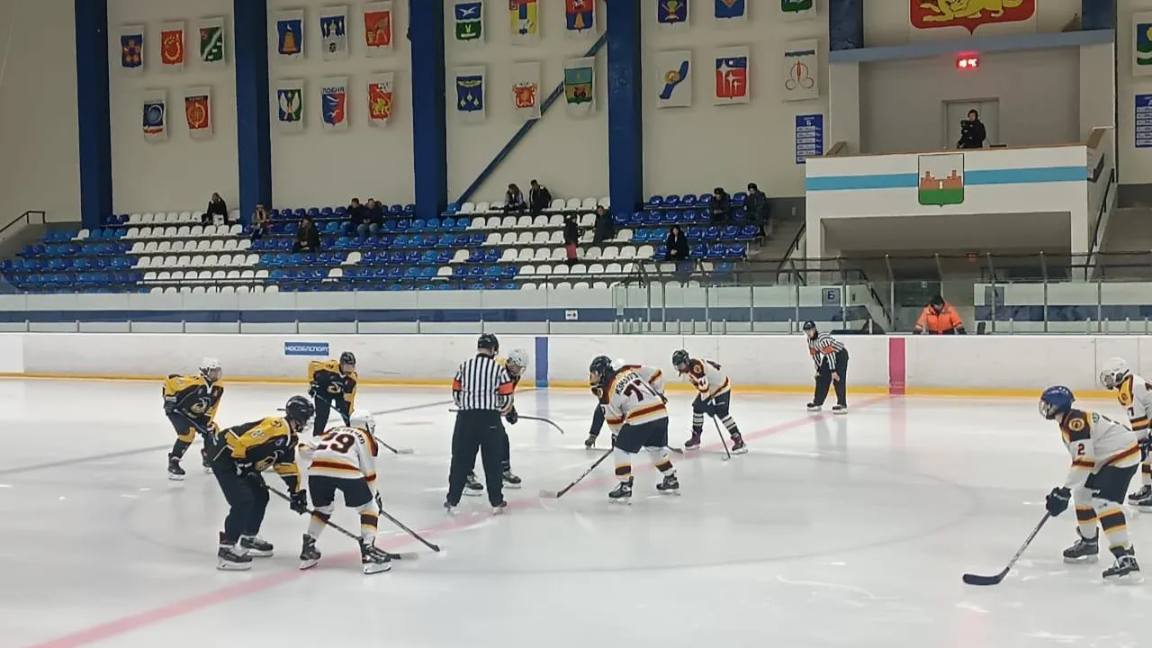 управление по физической культуре и спорту администрации г. о. Электросталь