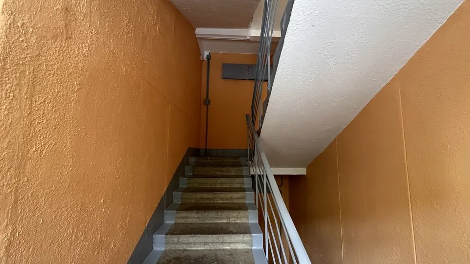 Фото: МедиаБанк Подмосковья/Мария Петрова