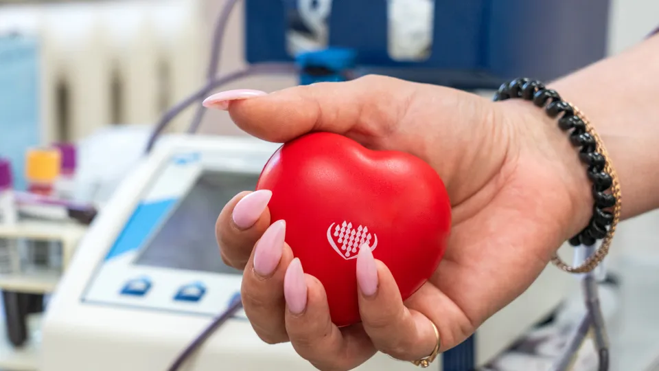 Фото: медиасток.рф