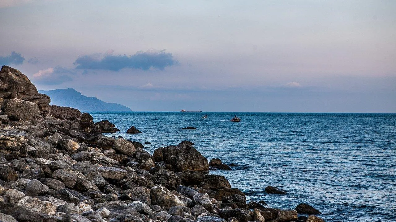 REGIONS/Роман Малышенко