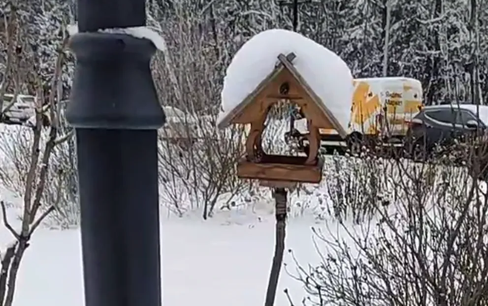 Фото: Микрорайон Малая Истра / Telegram