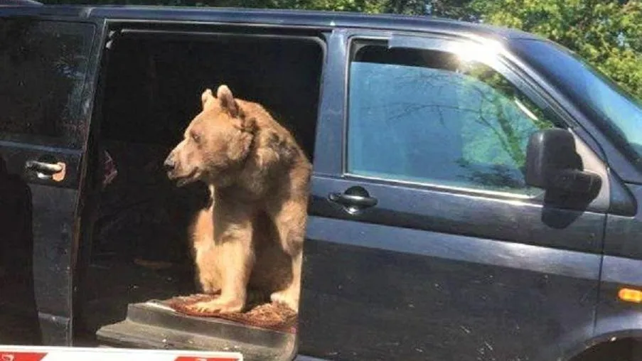 Фото: министерство сельского хозяйства и продовольствия Московской области