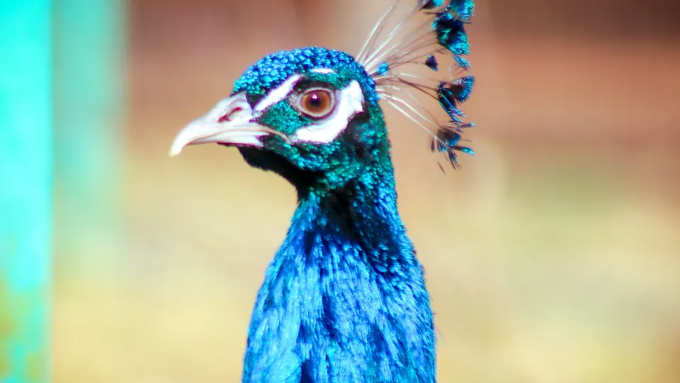 Фото: МедиаБанк Подмосковья/Данила Кирьянов