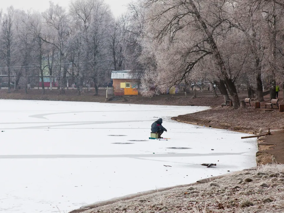 Фото: медиасток.рф