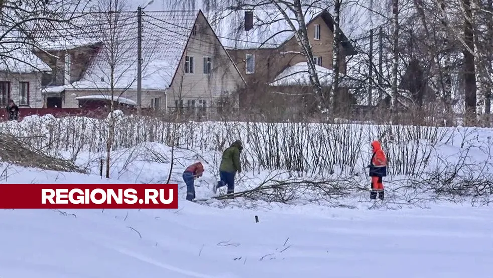 Данила Кирьянов