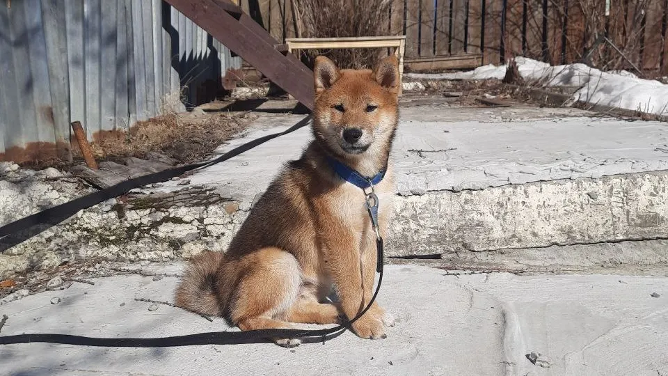 Фото: REGIONS/Юлия Габбасова