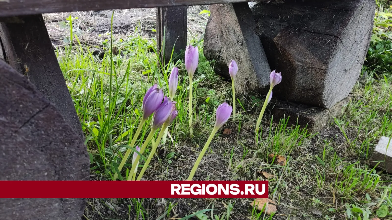 Фото: REGIONS/Екатерина Белякова