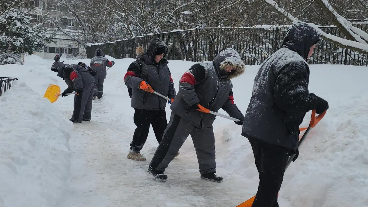 REGIONS/ Кристина Ларина