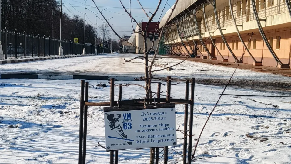 Фото: Александр Гуляев