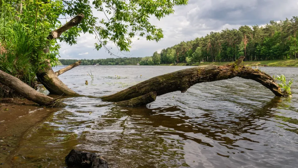 Фото: медиасток.рф