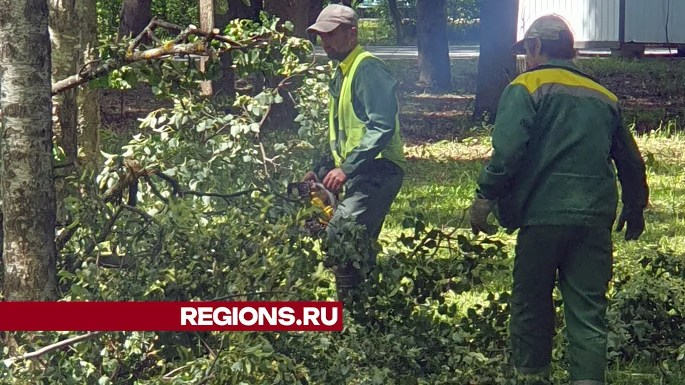 Фото: Александр Хлестков
