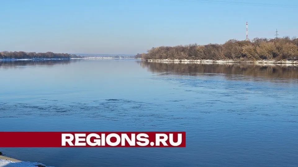 Фото: Александр Дрожжин