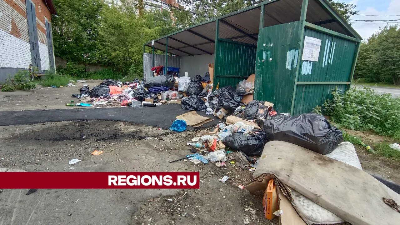 Фото: Алексей Грызлов