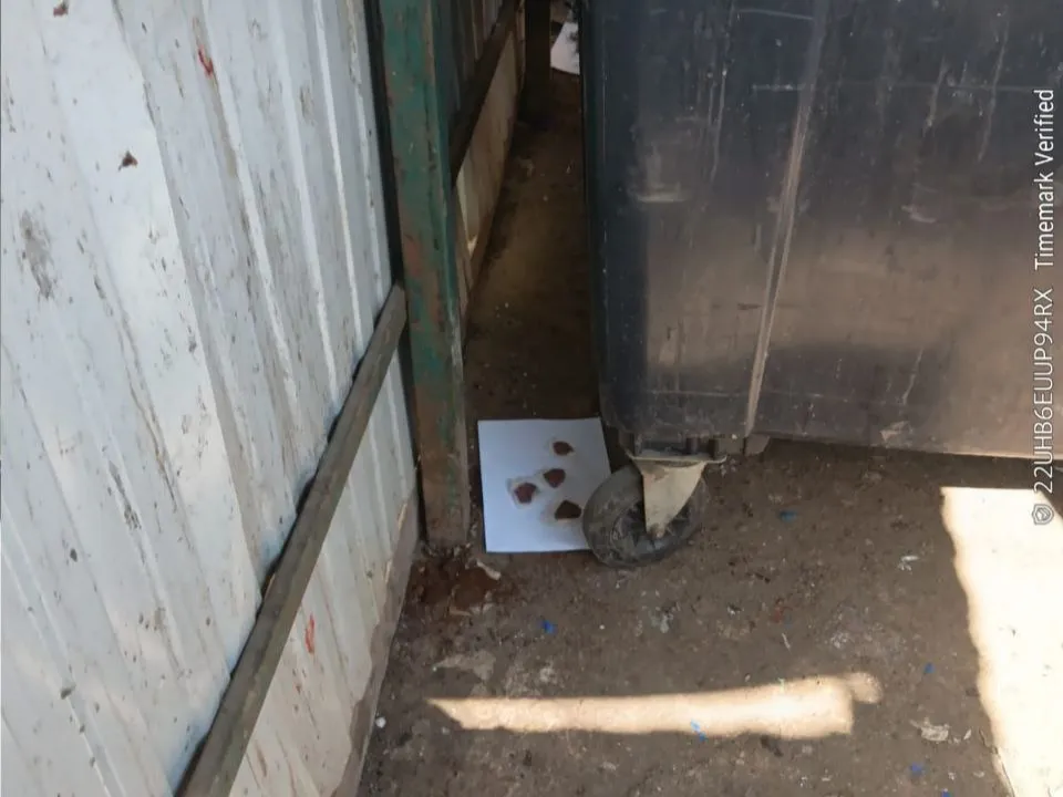 Фото: Министерство по содержанию территорий и государственному жилищному надзору Московской области&nbsp;