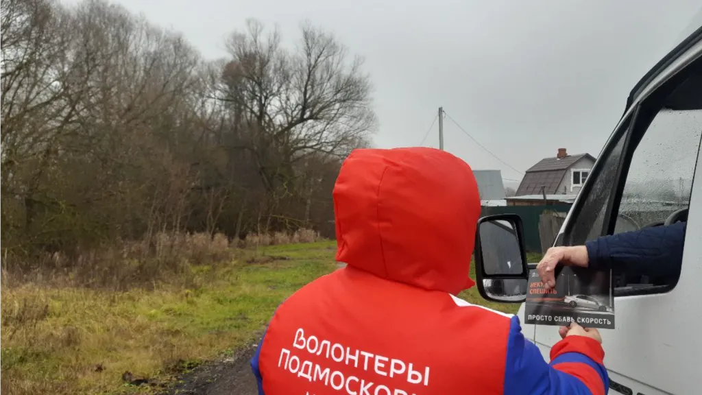 Волонтерский штаб муниципального округа Серебряные Пруды