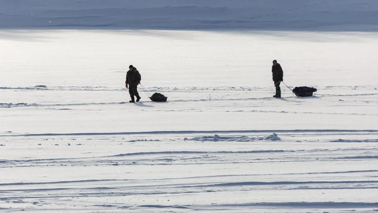 медиасток.рф