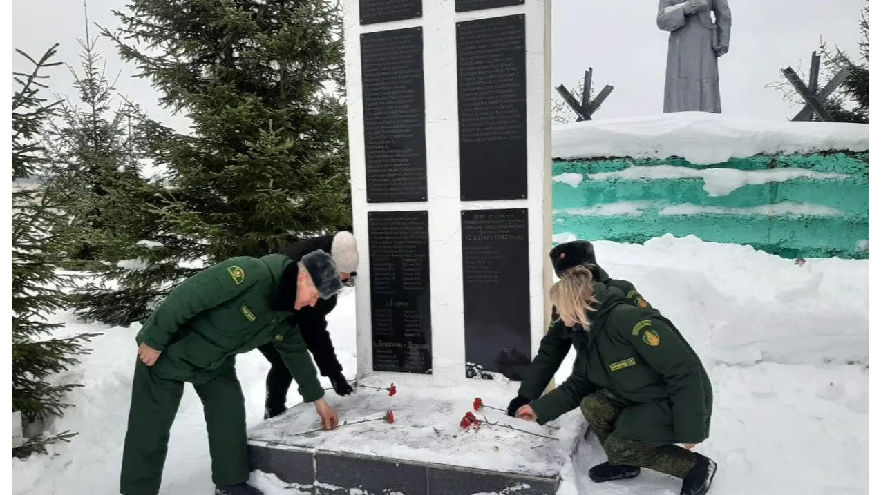 Фото: Комитет лесного хозяйства МО