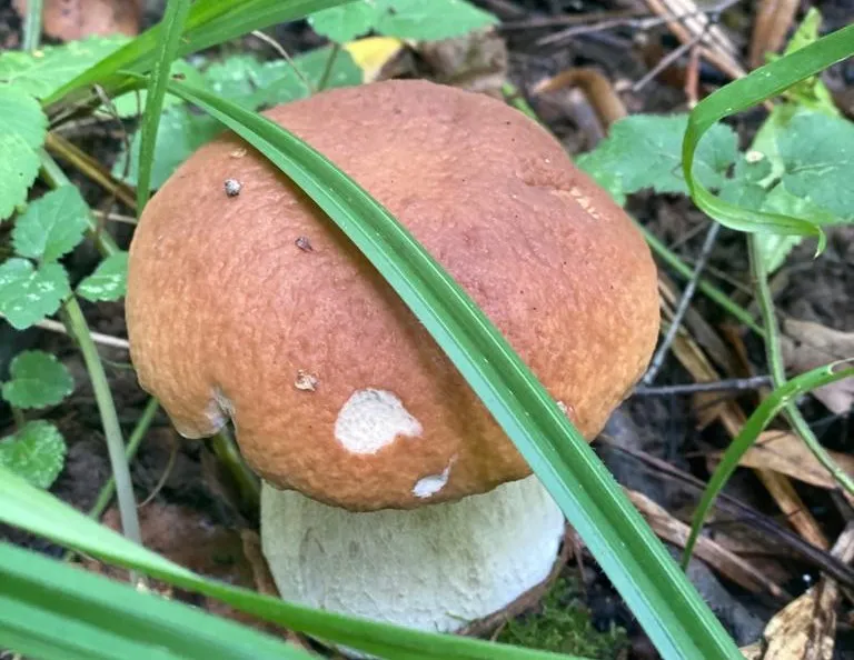 Фото: медиасток.рф