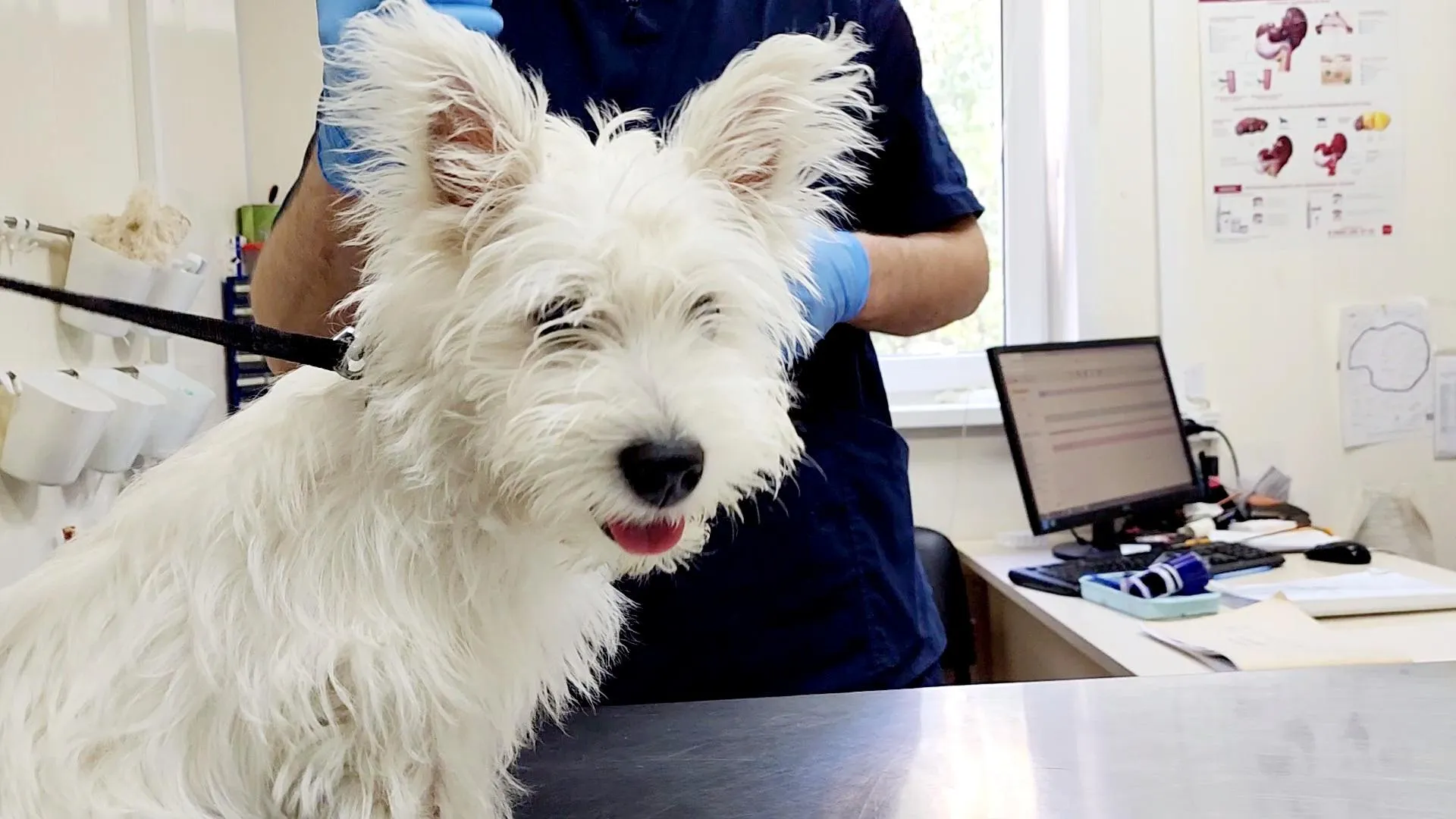 Сморкалов Никита