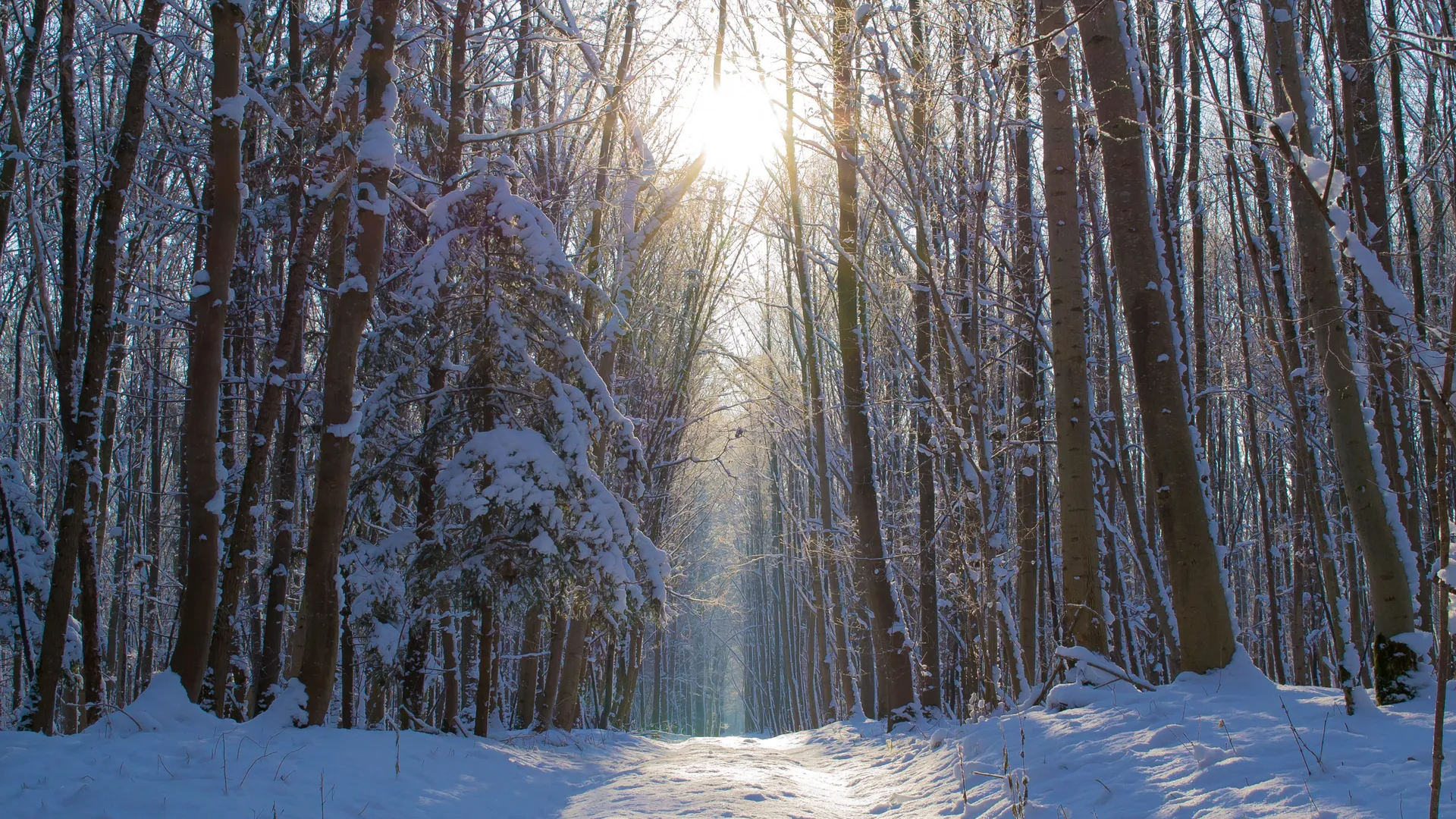 Фото: pxhere.com