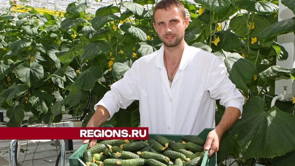 Фото: REGIONS/Александр Дрожжин