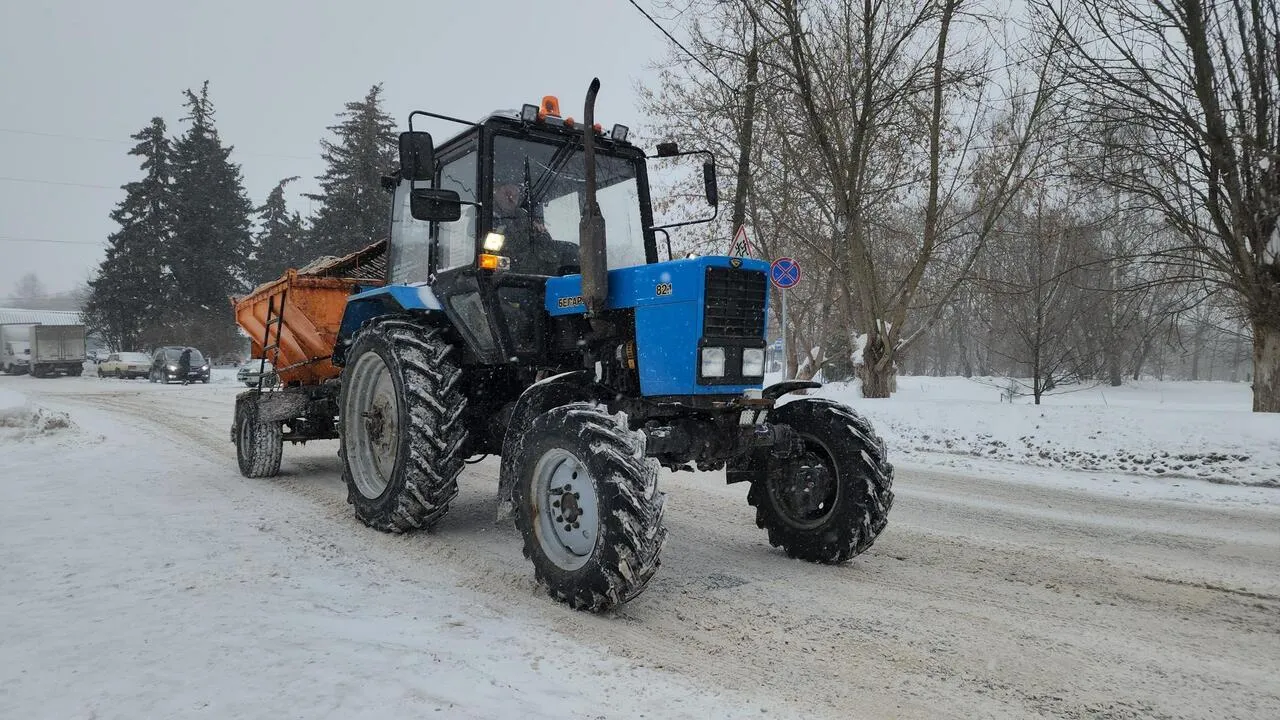 REGIONS/Валерия Тингаева