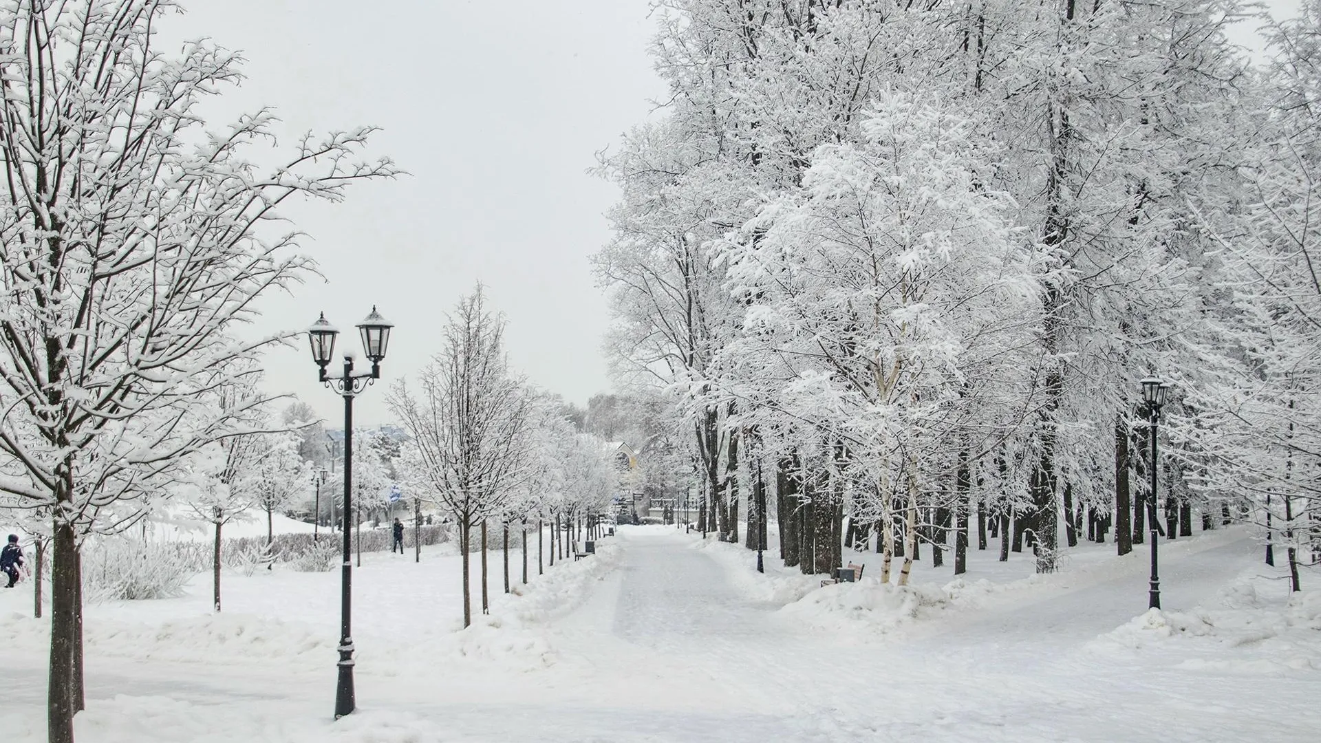 Фото соцсети.