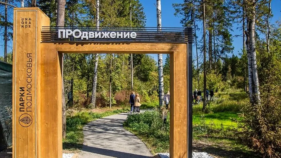 Фото: пресс-служба администрации Одинцовского городского округа