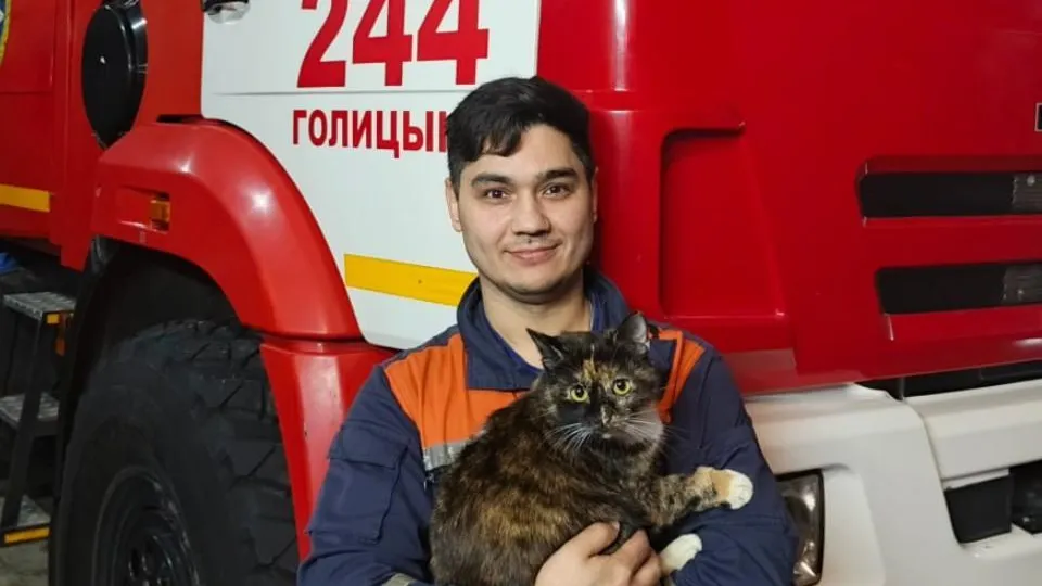 Пресс-служба администрации Одинцовского городского округа